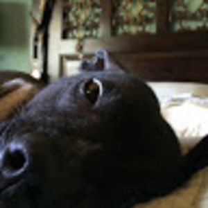 Meet your Posher, Eden